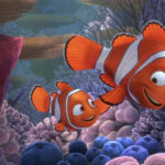 Finding Nemo's Dad (Marlin) and Nemo