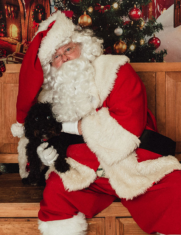 Santa Claus 2022 with dogs black
