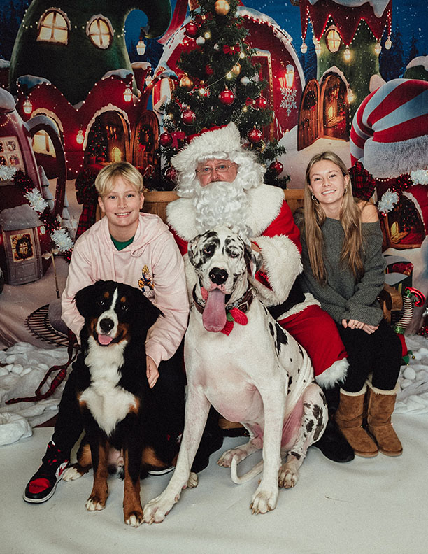 Santa Claus 2022 with dogs great dane